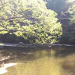 Meet your Posher, Ellarich20